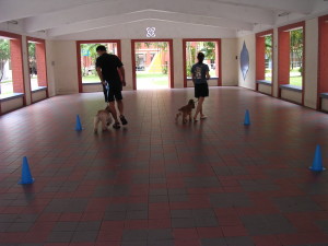 dscn0515