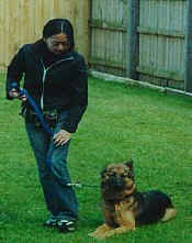 dogphoto1r-2