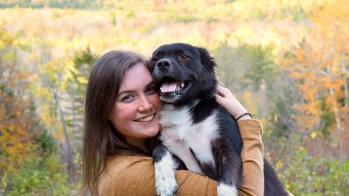 The Lifestyle of a Well-Trained Dog