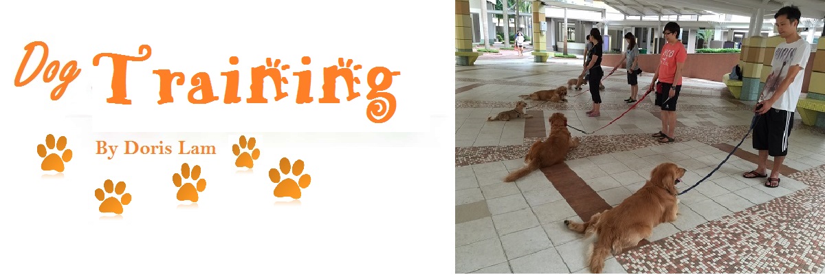Permalink to:Dog Training
