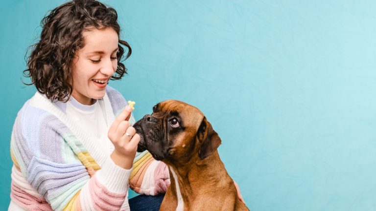 The Role of Consistency in Dog Obedience Training