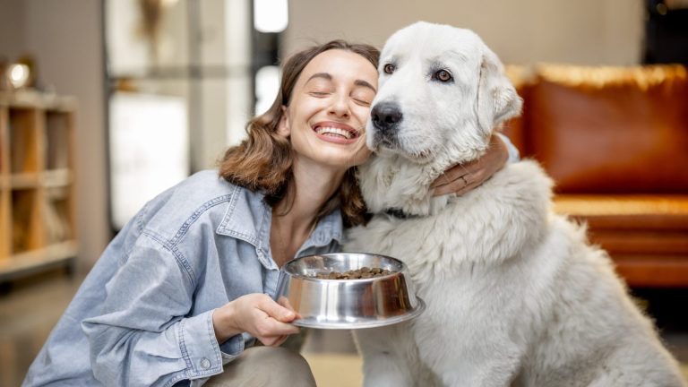 Top 10 Healthy Dehydrated and Air-Dried Dog Treats