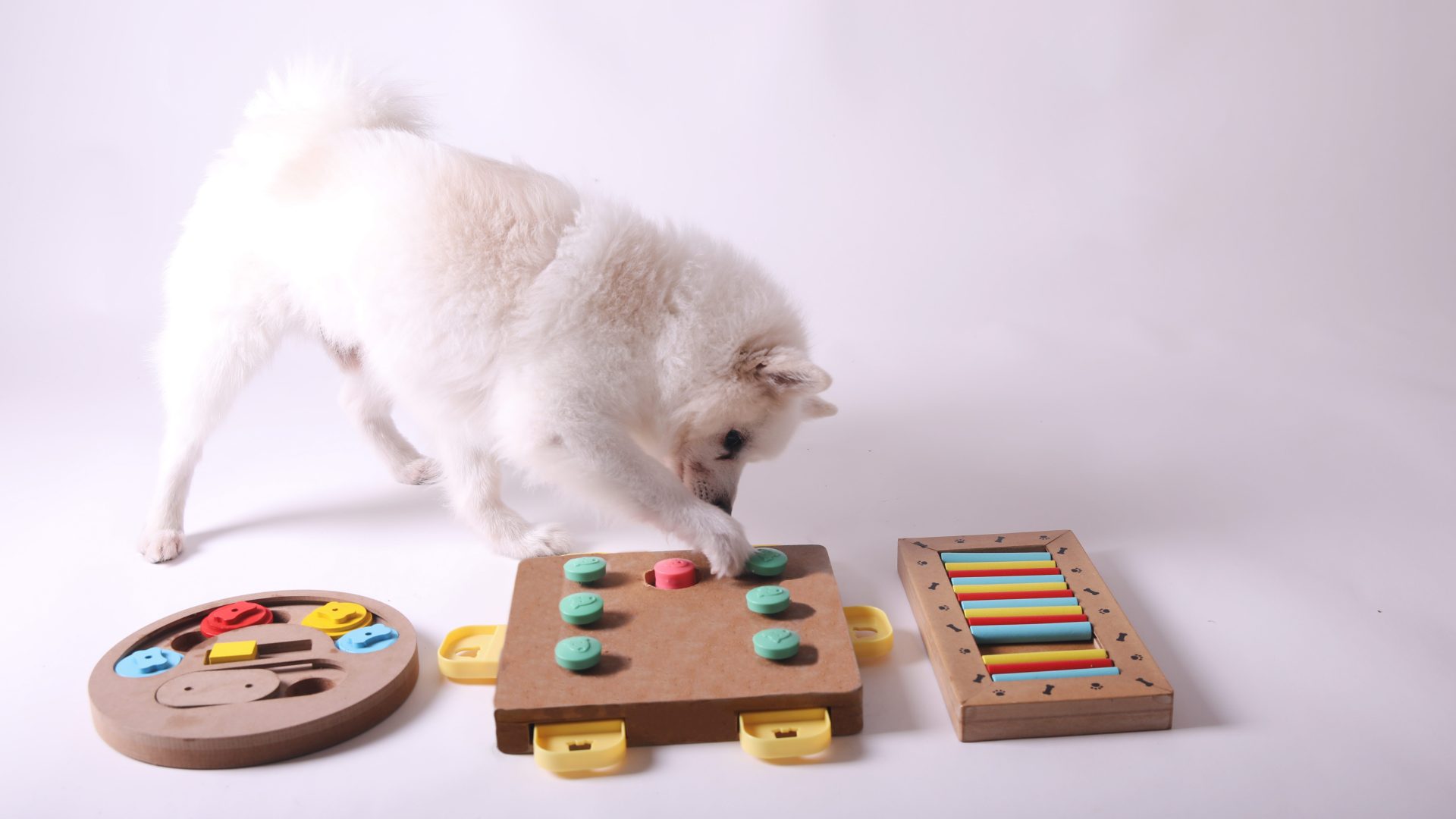 enrichment toys for dogs