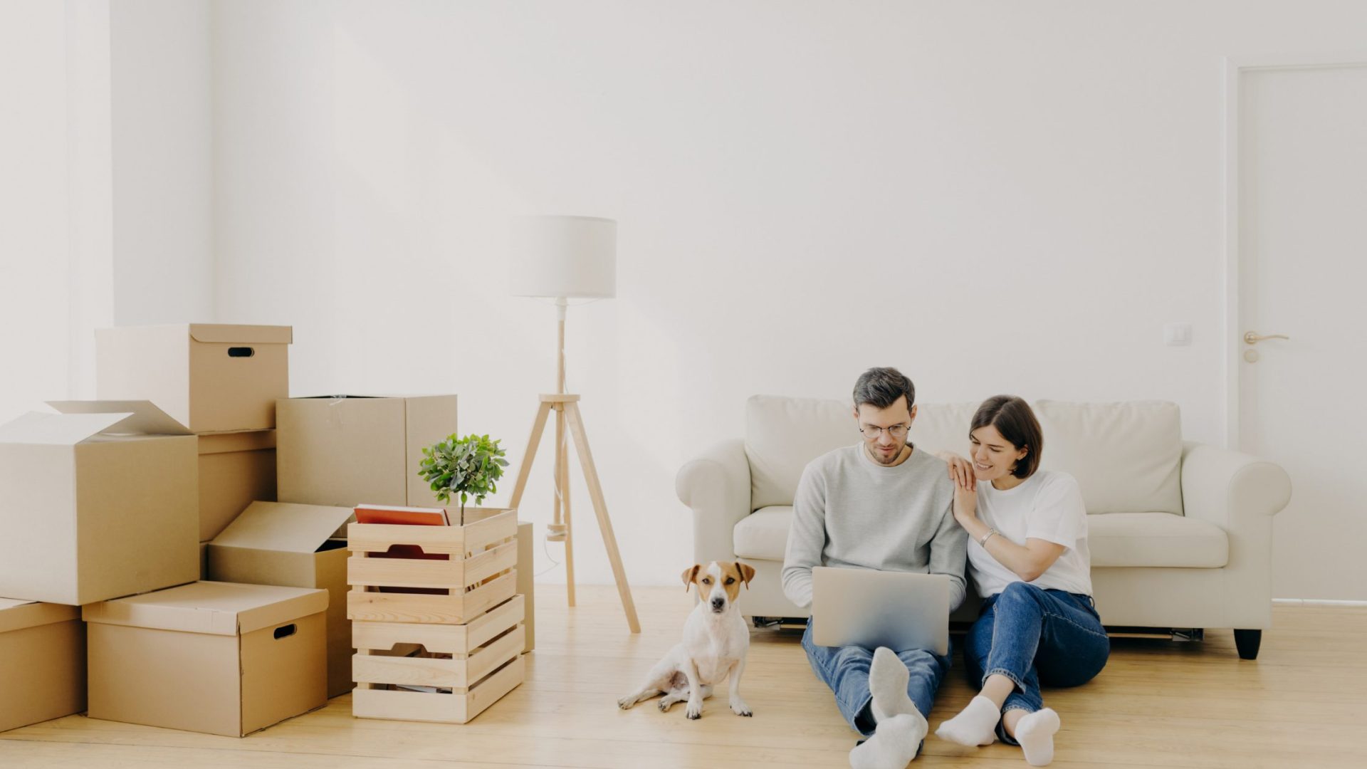 10 Best Ways to Keep the Dog Active in a Small Apartment 4 Dog Active in a Small Apartment