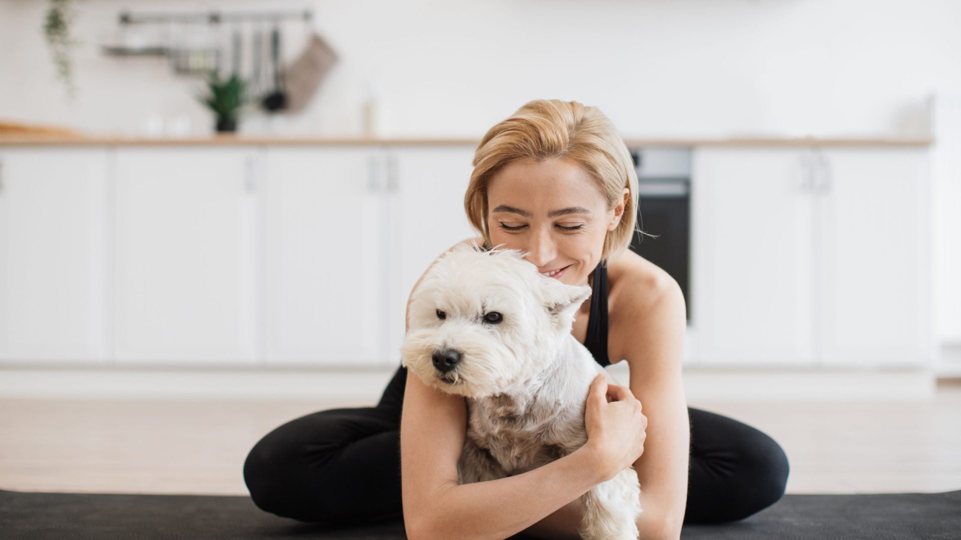 10 Best Ways to Keep the Dog Active in a Small Apartment 3 Dog Active in a Small Apartment