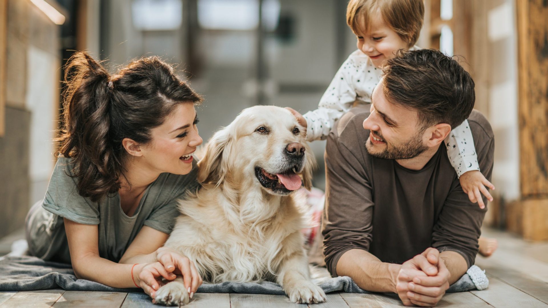 Dog Active in a Small Apartment