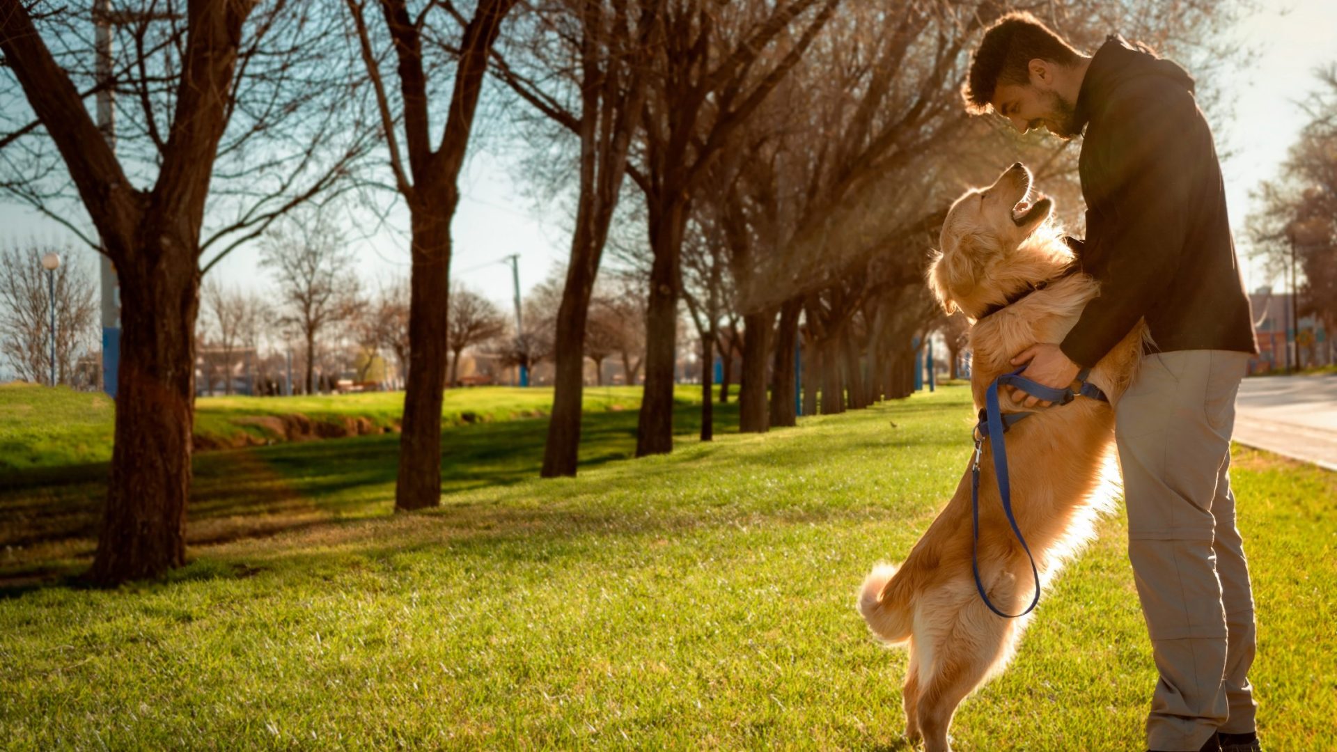 Dog-Friendly Parks