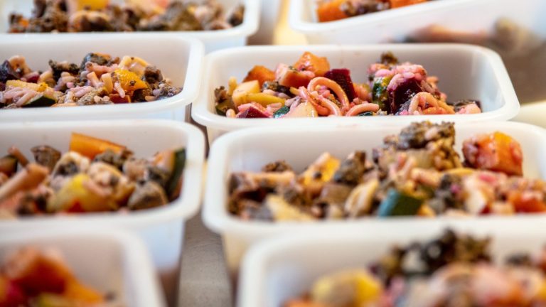 10 Best Dog Food Brands in Singapore for a Healthy Diet