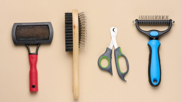 10 Best Dog Grooming Products Every Pet Owner Needs