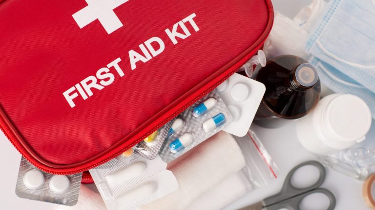 First Aid Products for Dogs: Top 10 Items for Pet Owner