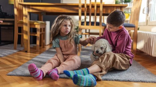  Prepare Your Dog for a New Baby