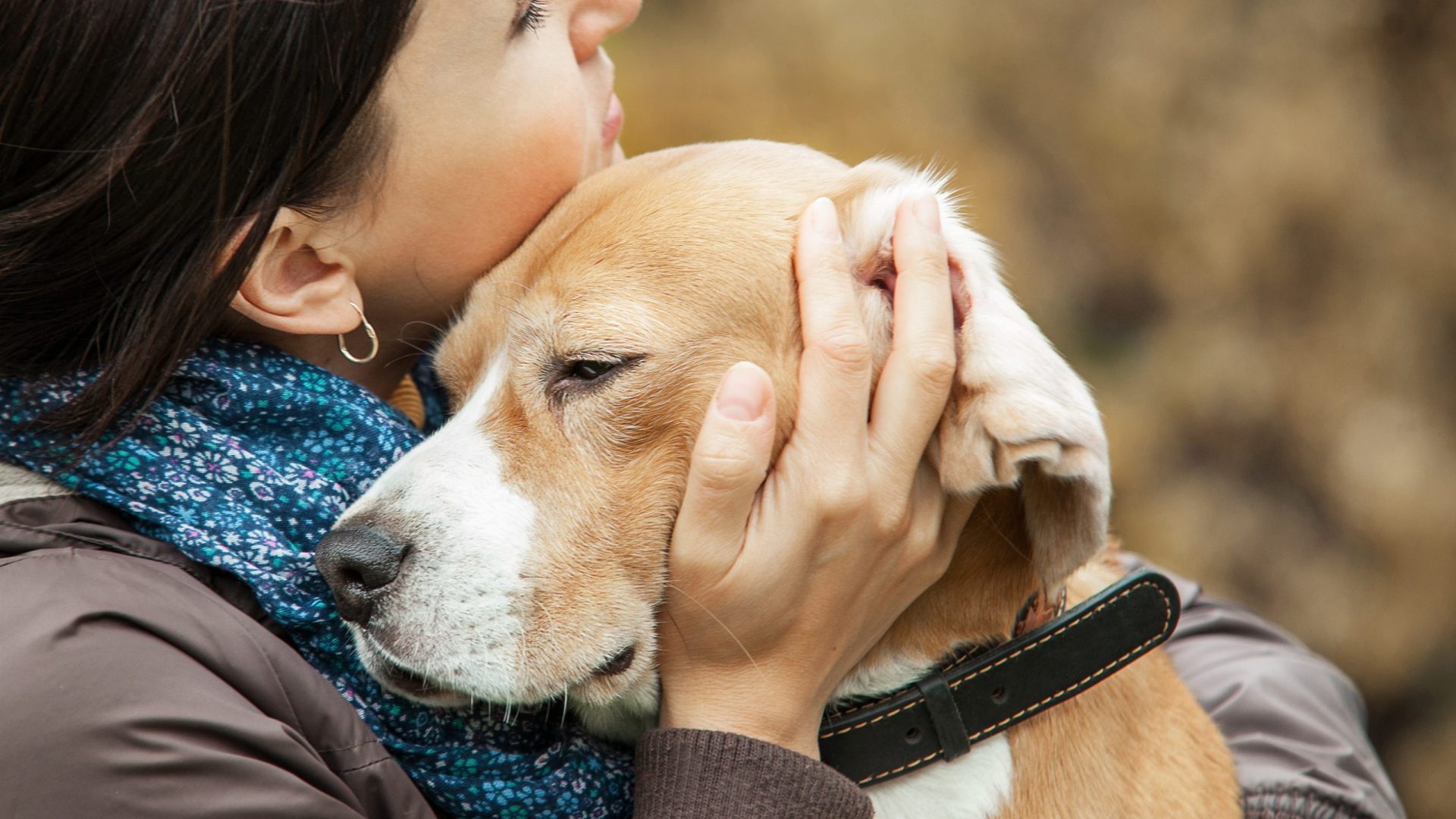 Explore 10 Best Games and Exercises for Fearful Dogs 3 Games and exercises for fearful dogs