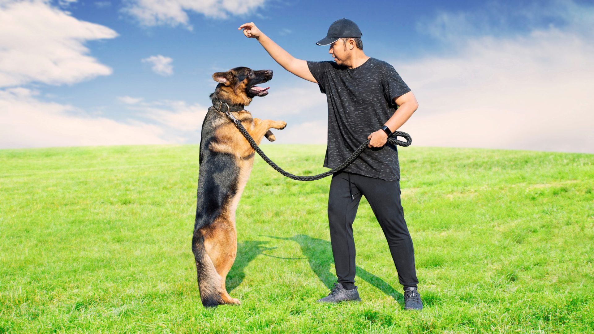 Dog training methods
