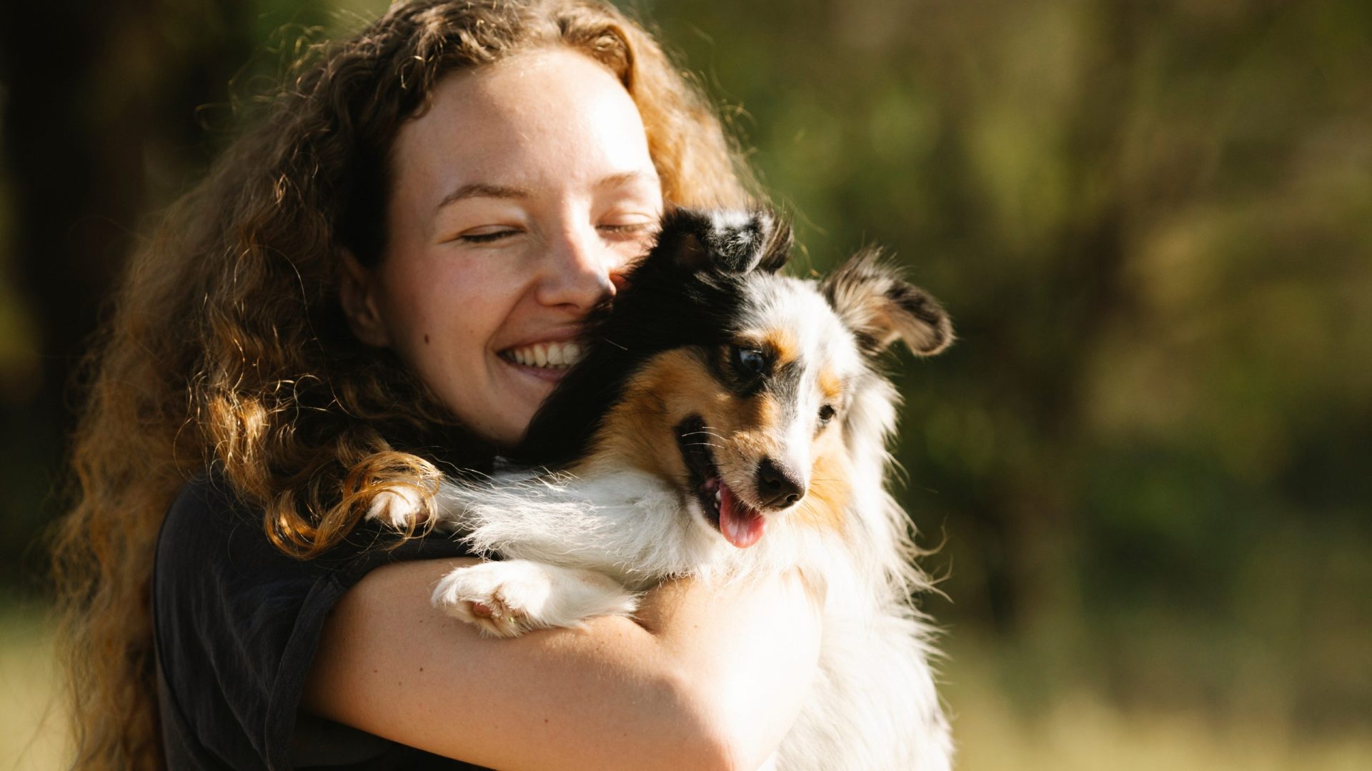 Explore 10 Best Games and Exercises for Fearful Dogs 2 Games and exercises for fearful dogs