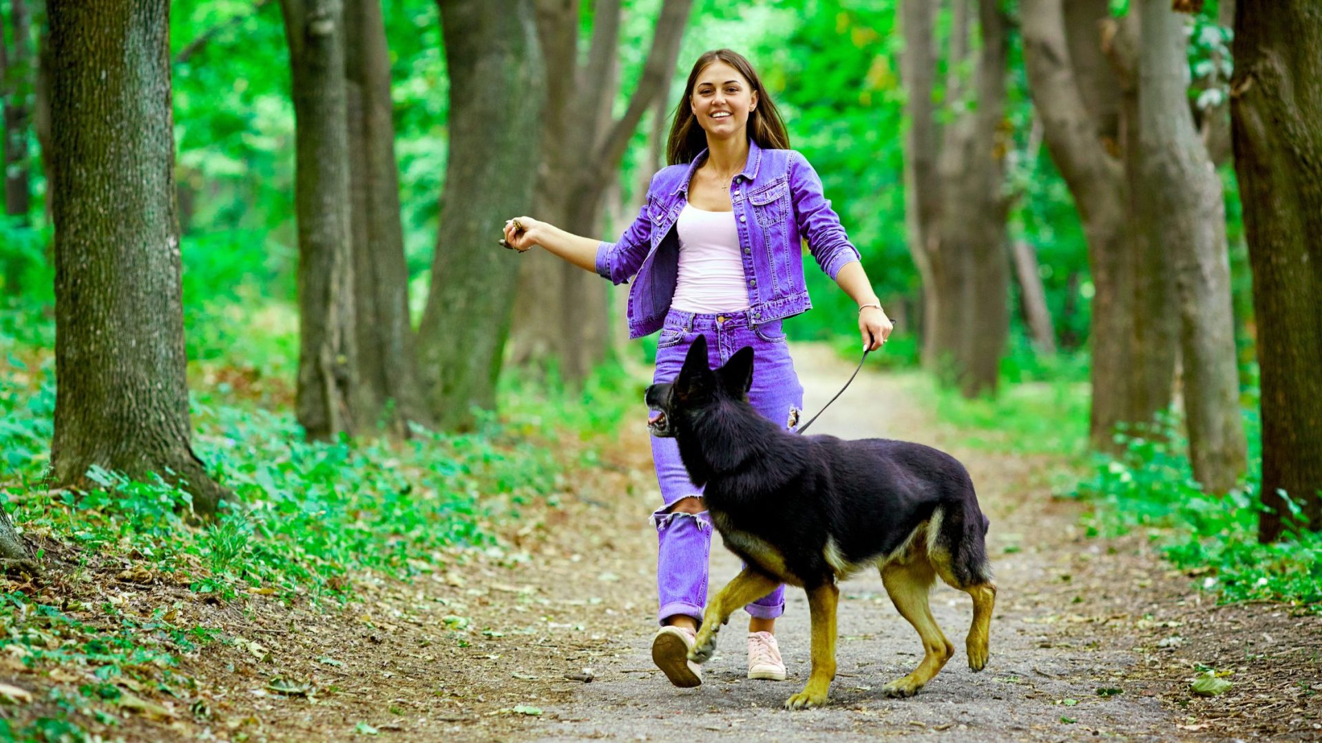 Use Play as a Reward in Dog Training