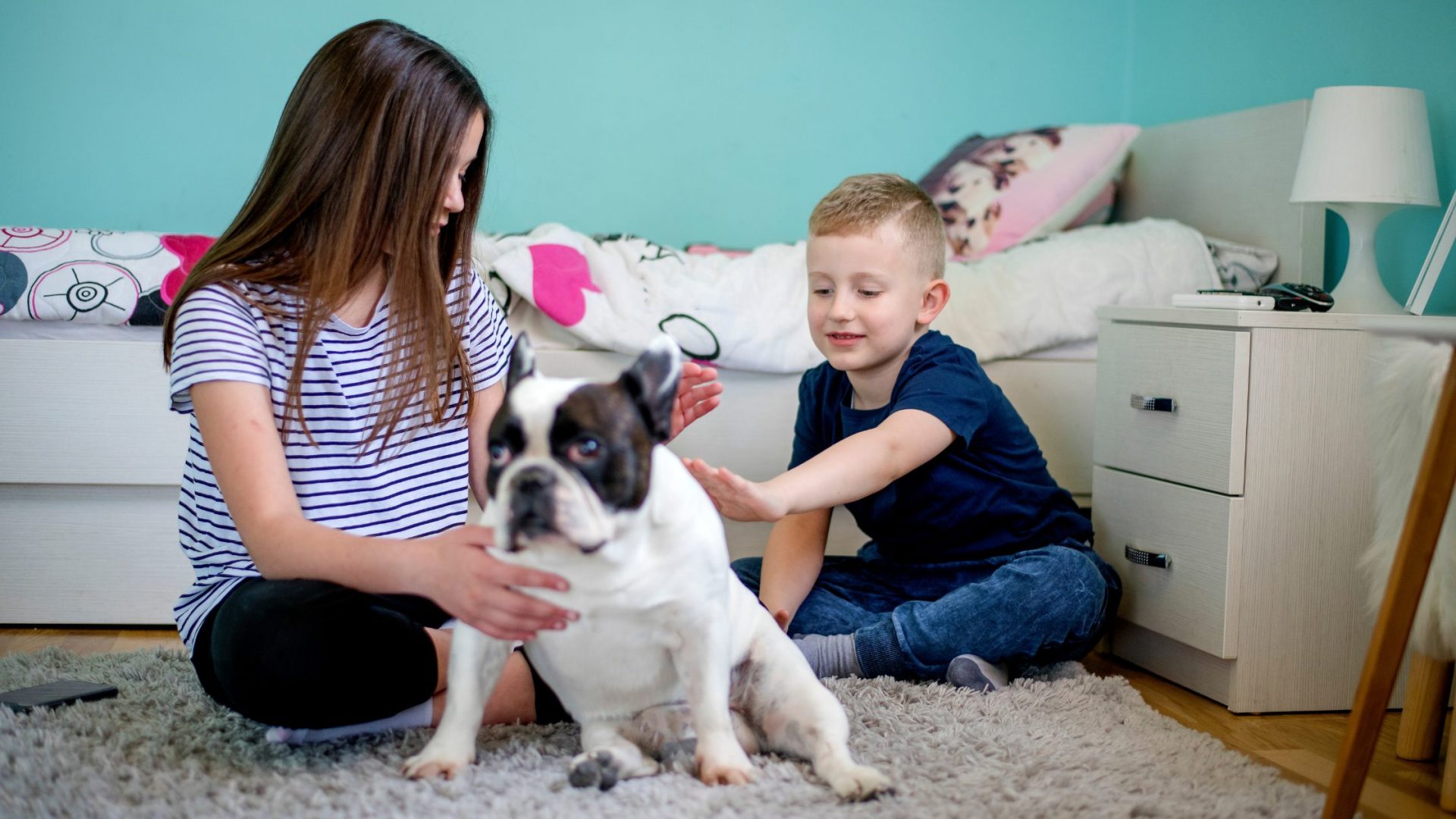 Prepare Your Dog for a New Baby