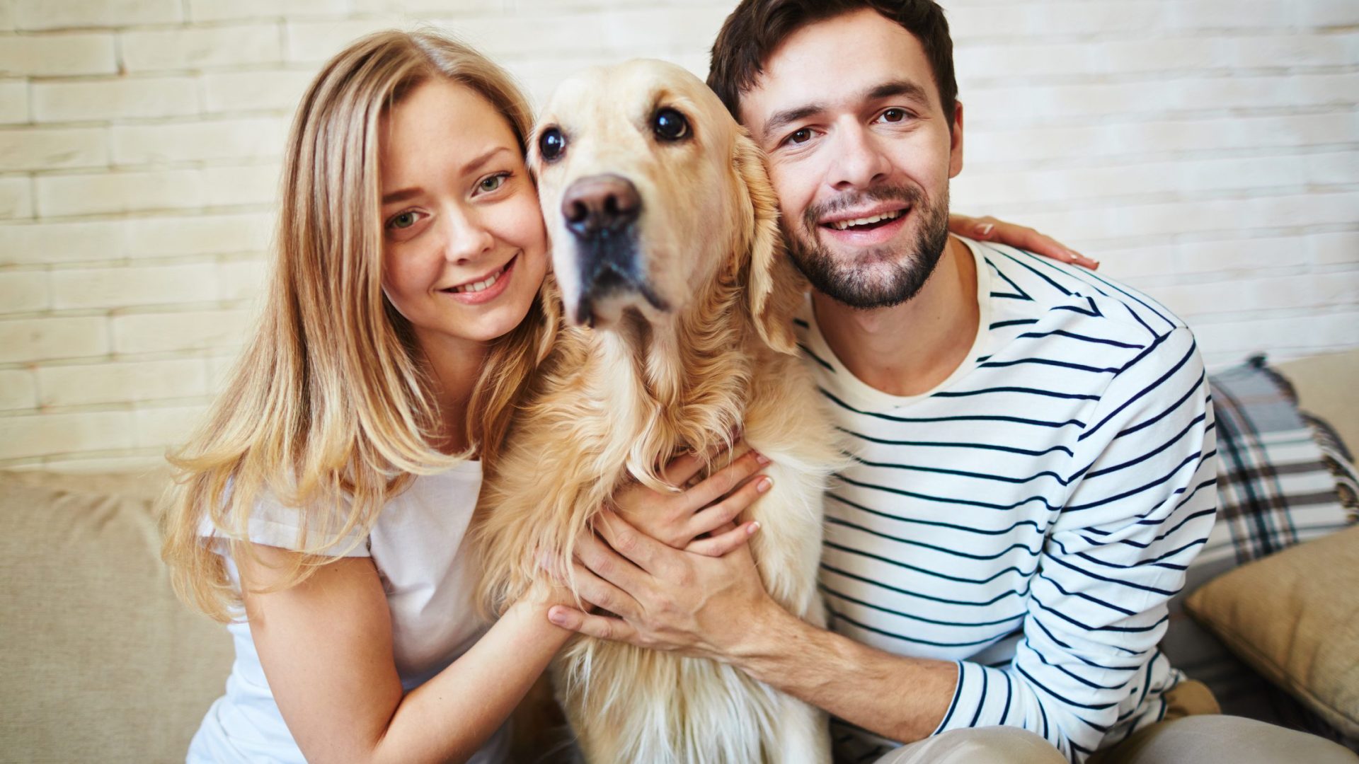 Building a Relationship with Dog