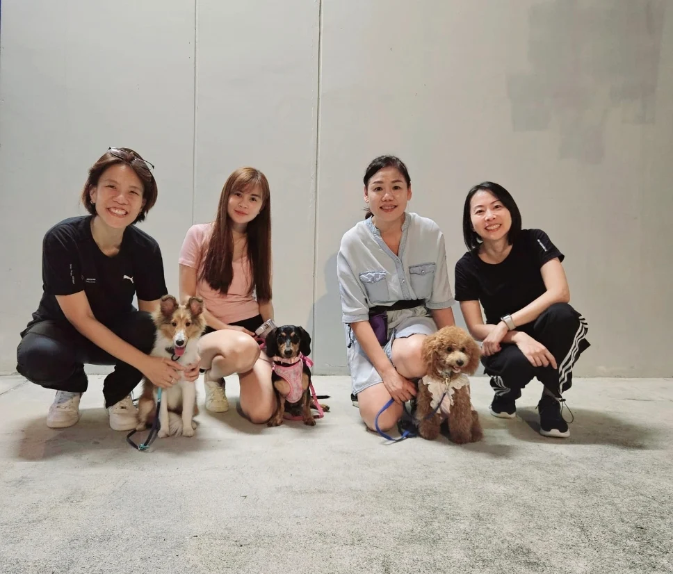 dog obedience training singapore