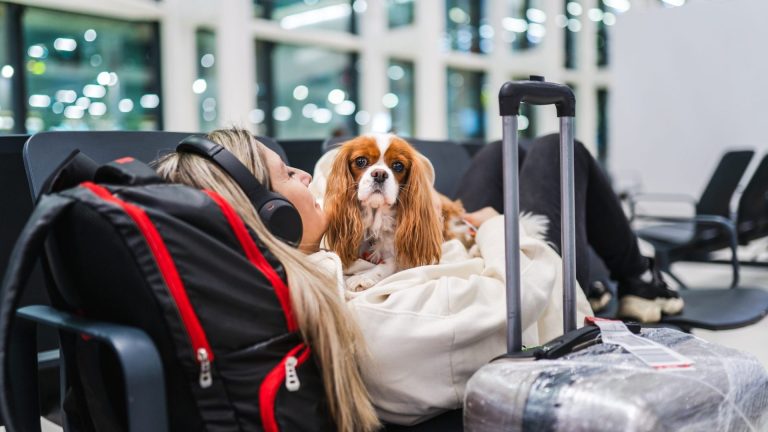 Flying with Pets Overseas for Holidays from Singapore