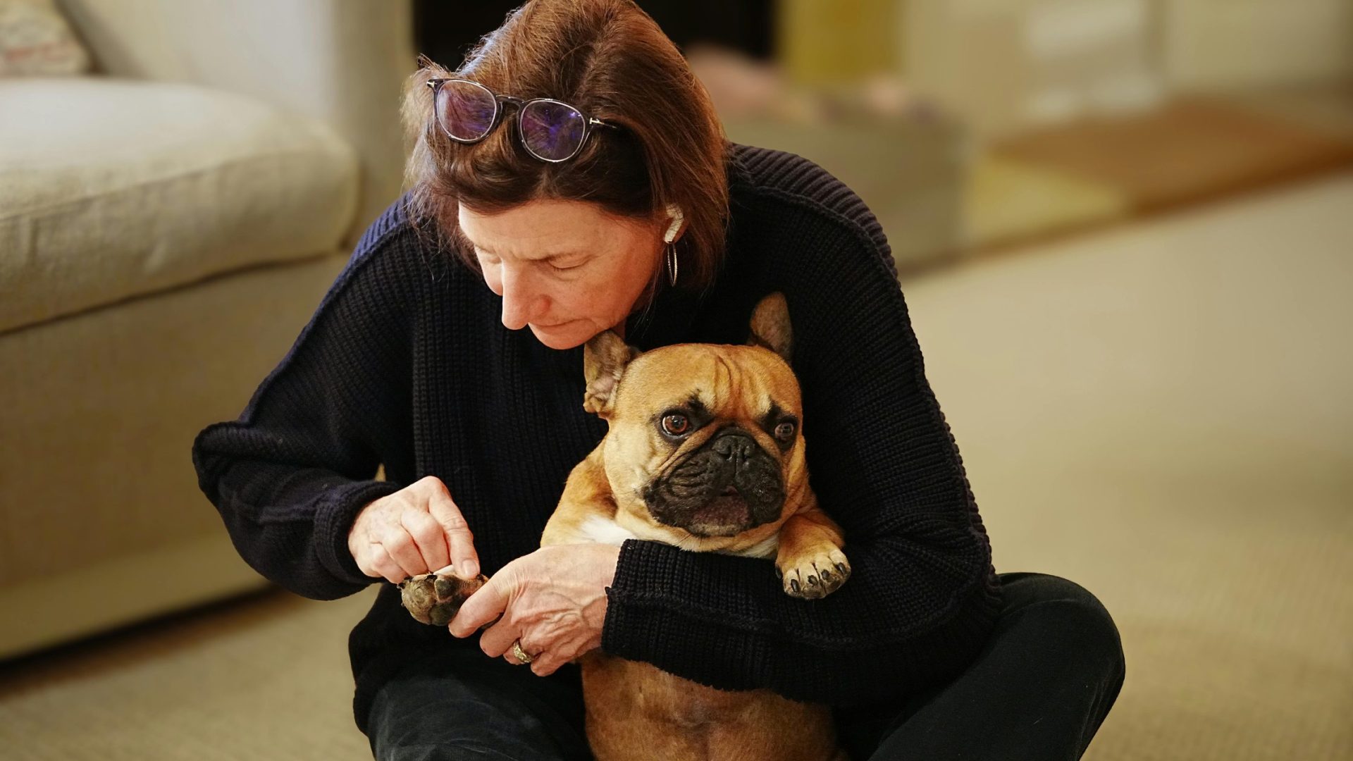 20 Best Smart Tech Gadgets for Dogs in Singapore 4 Smart Tech Gadgets for Dogs
