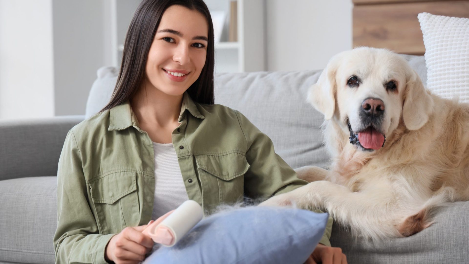 Common Health Issues in Dogs in Singapore You Must Know 3 Common health issues in dogs