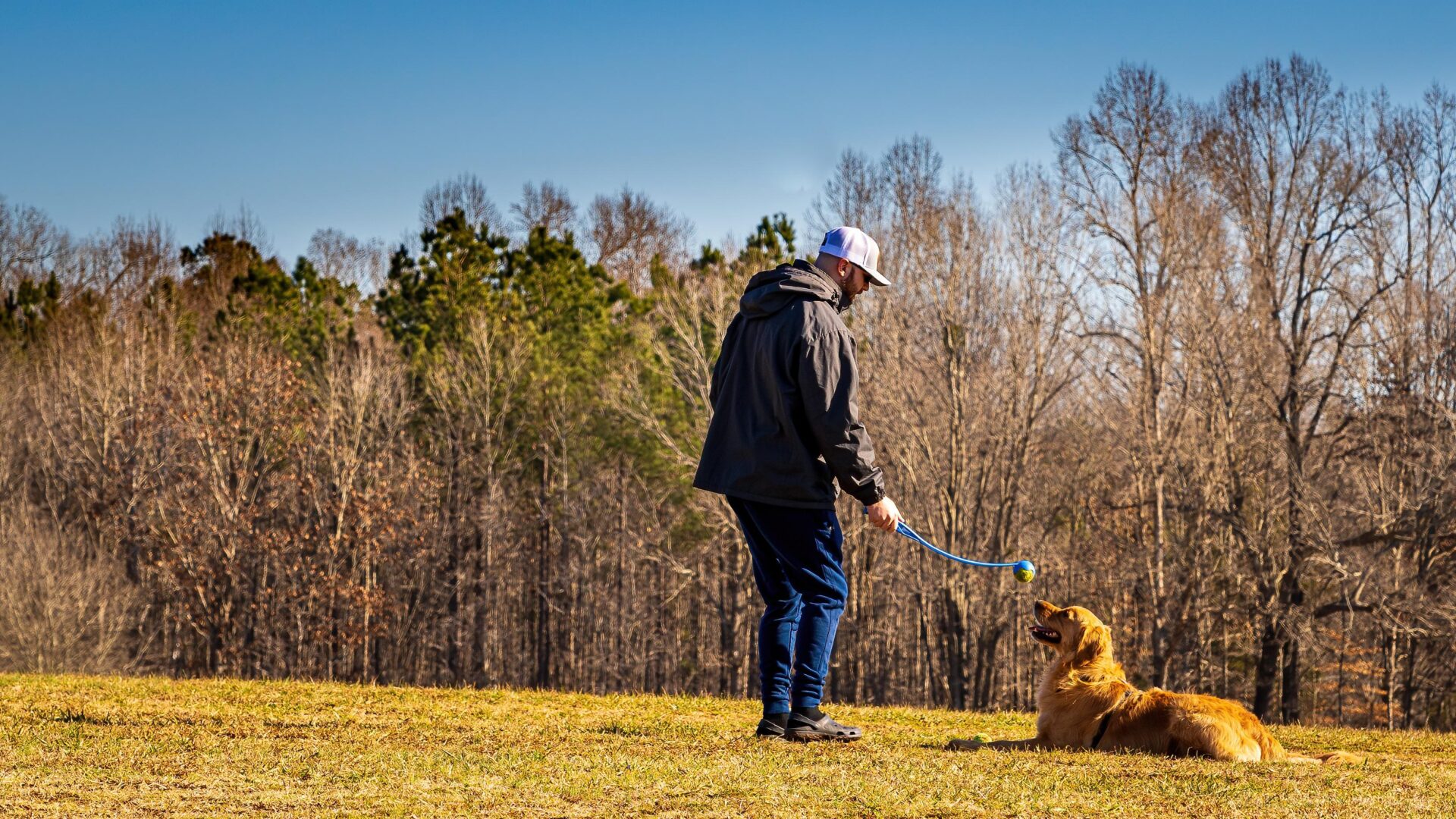 Group vs. Private Dog Training: Which is the best for Dog? 4 Group vs. private dog training