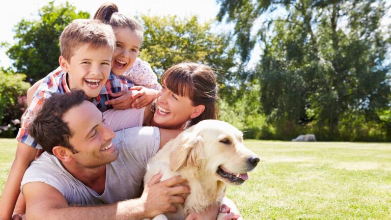 20 Ways Pet Culture in Singapore is Changing Modern Homes