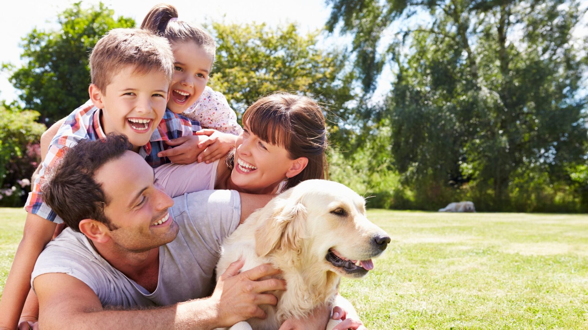 20 Ways Pet Culture in Singapore is Changing Modern Homes 1 Pet Culture in Singapore