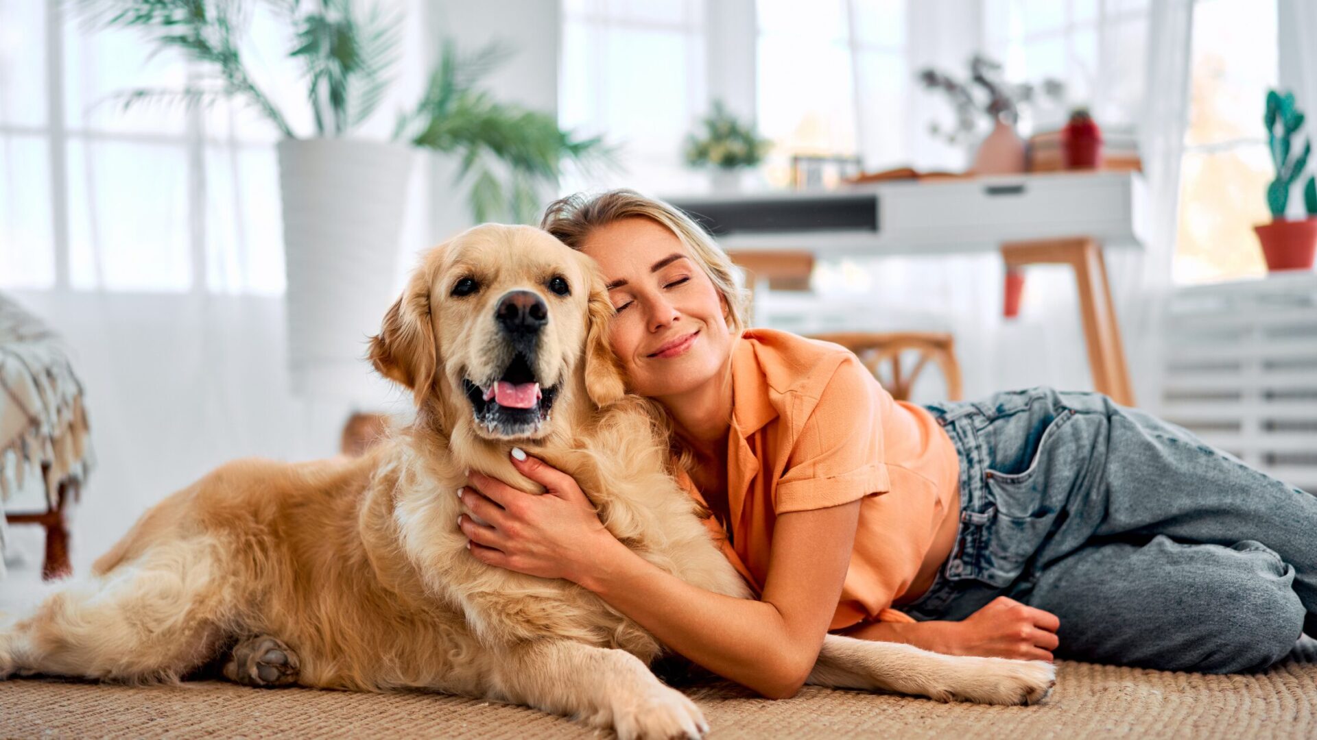 20 Ways Pet Culture in Singapore is Changing Modern Homes 4 Pet Culture in Singapore