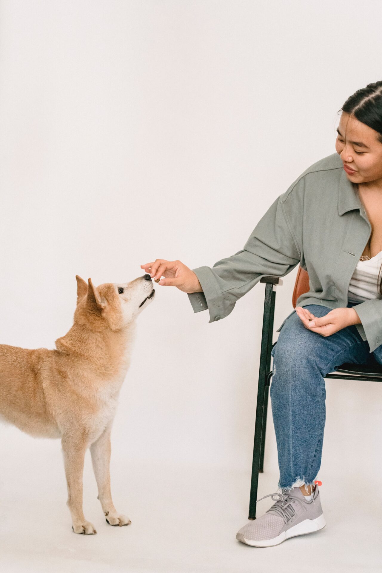 Beyond Commands: Understanding Your Dog on a Deeper Level 1 dog obedience training