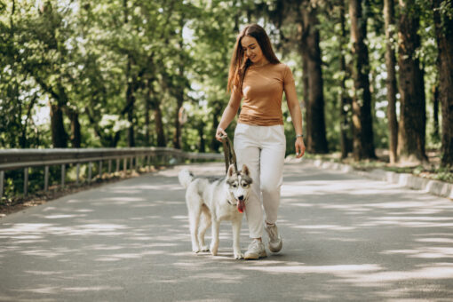 20 Best Dog-Friendly Parks and Walking Trails in Singapore 2 Dog-Friendly Parks