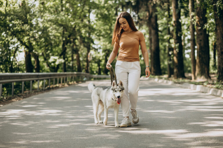 The Dog Walk, Obedience, And Training: Leadership From Behind, Dogs Out In Front