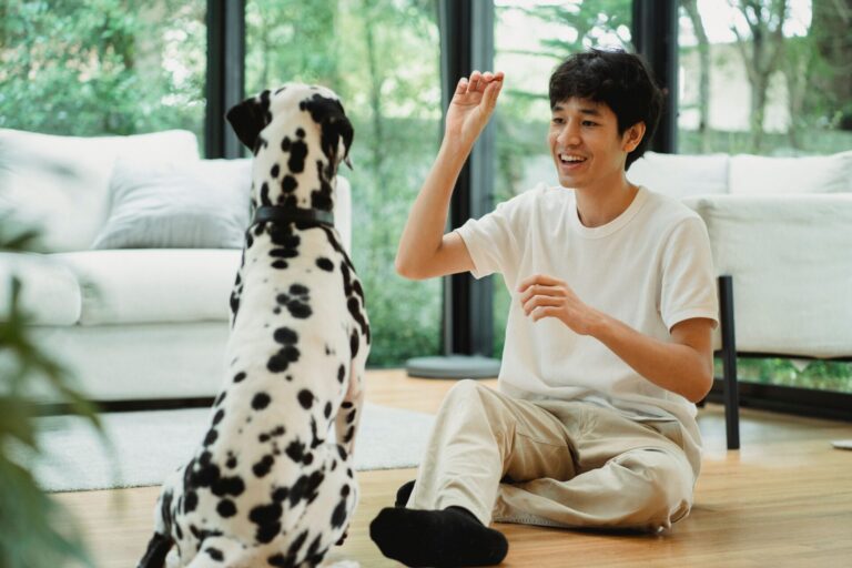 Exploring Effective Happy Dog Training Methods in Singapore